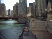 Chicago_Downtown_43.JPG