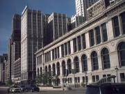 Chicago_Downtown_5.JPG