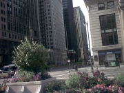 Chicago_Downtown_9.JPG