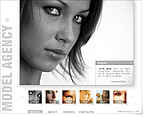 web site design chicago